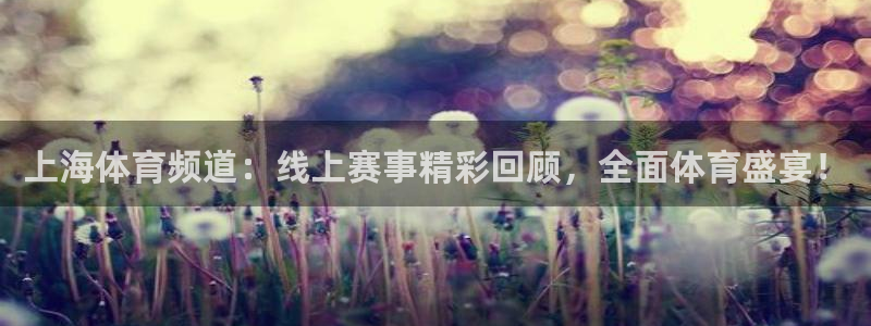 鲸鱼体育app免费下载：上海体育频道：线上赛事精彩回顾，全面体育盛宴！