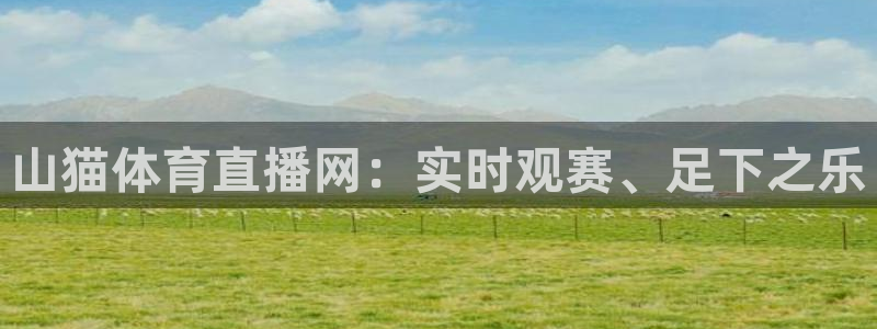 jytv鲸鱼体育直播：山猫体育直播网：实时观赛、足下之乐