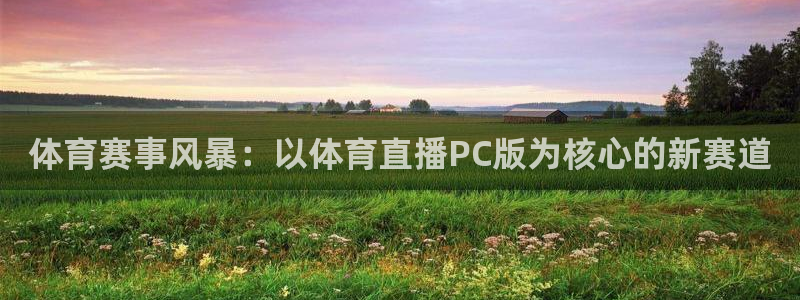 鲸鱼体育在线直播nba：体育赛事风暴：以体育直播PC版为核心的新赛道
