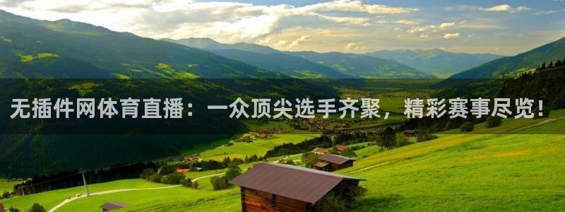 鲸鱼tv直播：无插件网体育直播：一众顶尖选手齐聚，精彩赛事尽览！